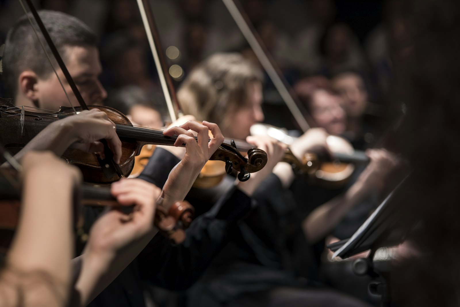 Violinists performing together